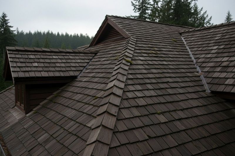Cedar Shingles Replacement